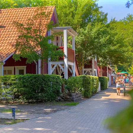 Daire Duenenhaeuser Unserusedomde Ca40qm Direkt Am 6i1