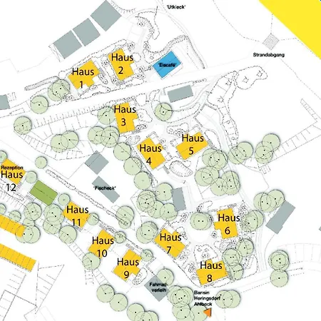 Daire Duenenhaeuser Unserusedomde Ca40qm Direkt Am 6i1 *